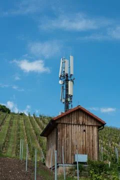 Telecommunication mast in a vineyard Stock Photos