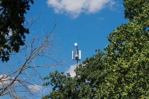Telecommunication Tower Behind Green Tree Branches Stock Photos