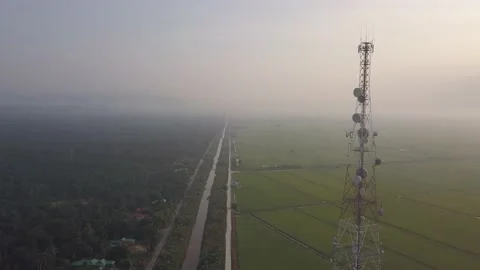 Telecommunication tower in the middle of the paddy field Stock Footage 142338708