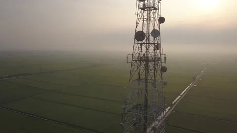 Telecommunication tower in the middle of the paddy field Stock Footage 142338726
