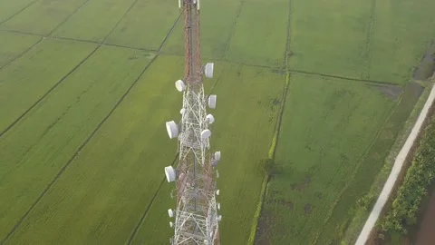 Telecommunication tower in the middle of the paddy field Stock Footage 142338772