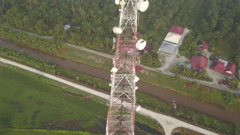 Telecommunication tower in the middle of the paddy field Stock Footage 142338792