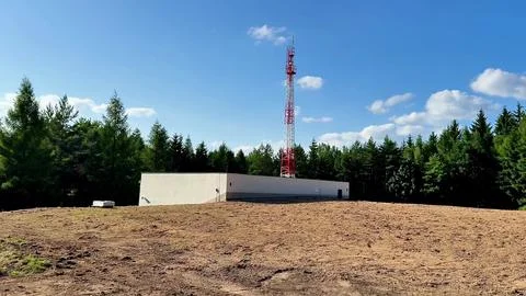 Telecommunication Tower Surrounded by a Vast Forest Landscape with Diverse Stock Photos