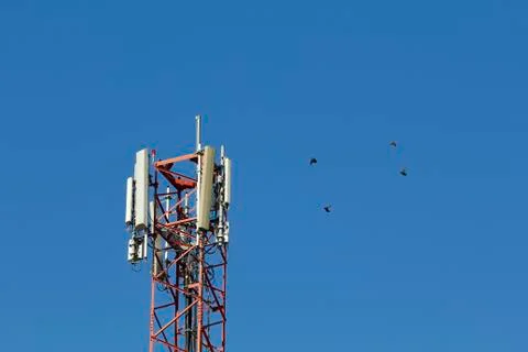 Telecommunications tower Foto stock