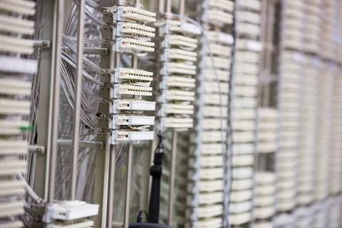 Telecommunications white patch modules are lining flat design panel racks with Foto stock