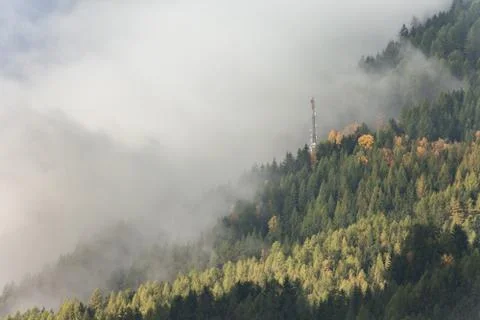 Telecomunications antenna inside the forest Foto stock
