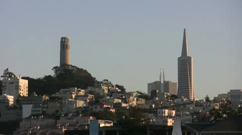 Telegraph Hill and Segull Stock Footage 10585510