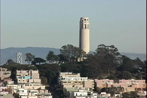 Telegraph Hill Video stock 820693