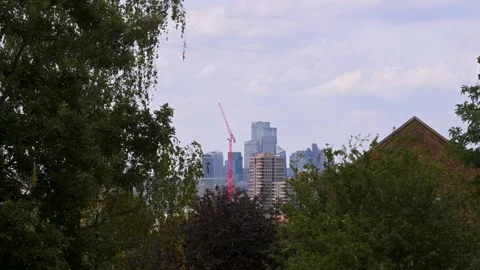 Telegraph Hill Park Trees Framing City of London Construction Cranes Stock Footage 342574446