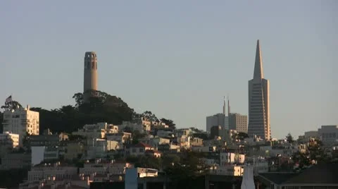 Telegraph Hill with Seagull Stock Footage 10585054