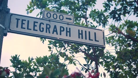 Telegraph Hill Sign 스톡 동영상 144295571