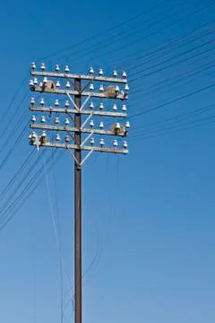 Telegraph lines Stock Photos