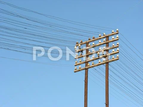 Telegraph lines Stock Photos