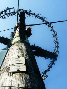 Telegraph pole Stock Photos