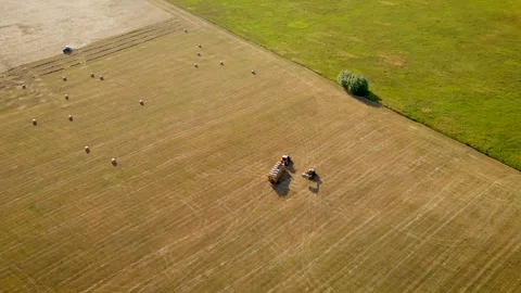 Telehandler loading round hay bales of straw onto tractor trailer Stock Footage 244871130