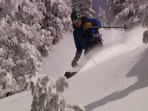 Telemark Skier finds some powder in the trees. Stock Footage