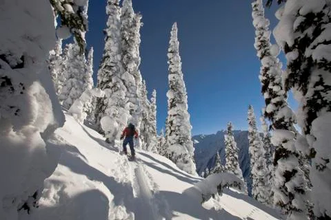 A telemark skier uptracking at Rogers Pass, Glacier National Park, British Stock Photos