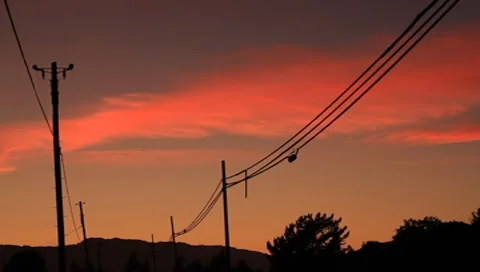 Telephone Lines and Sunset 動画素材 8778133