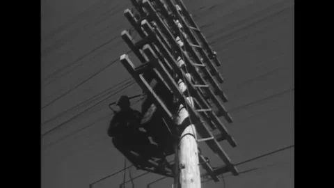 Telephone lines are installed for the army b the Network Bell company in the Stock Footage 145411991