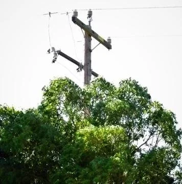 TELEPHONE POLE 3 Fotos Stock
