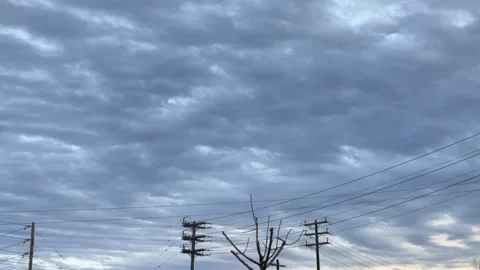 Telephone Pole LA Sunset Stock Footage 331226181