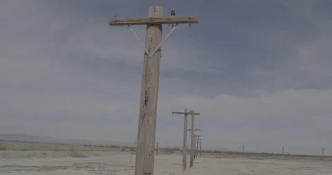 Telephone poles Video stock 168213530