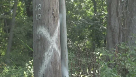 Telephone Poll - Flat Profile Stock Footage 79544582