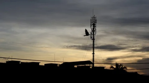 Telephone tower Stock Footage 109172156