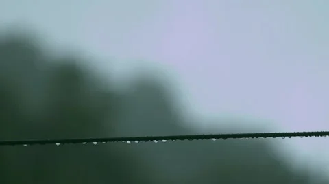Telephone Wire with Raindrops Видео 50942049