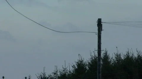 Telephone wires in gale 4 Stock Footage