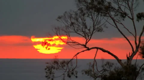 Telephoto Sunset with Tree Backdrop Timelapse Stock Footage 23554344