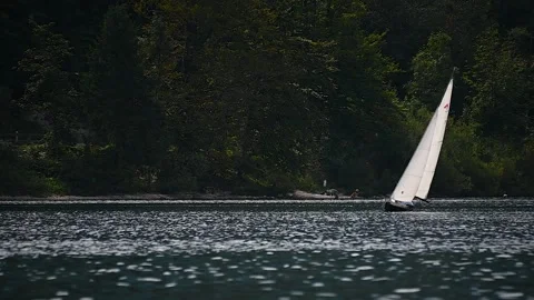 Telephoto view of small train sailing yacht boat float in Bohinj lake Stock Footage 170649202
