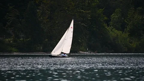 Telephoto view of small train sailing yacht boat float in Bohinj lake Stock Footage 170649255