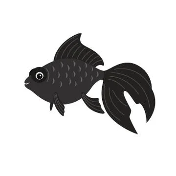 Telescope fish isolated on white background. Stock Illustration