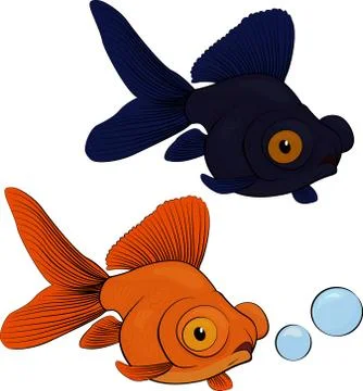 Telescope fish isolated on white background. Stock Illustration