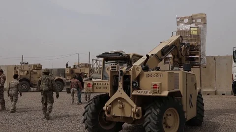 Telescopic handler carrying pallets Stock Footage 87826260