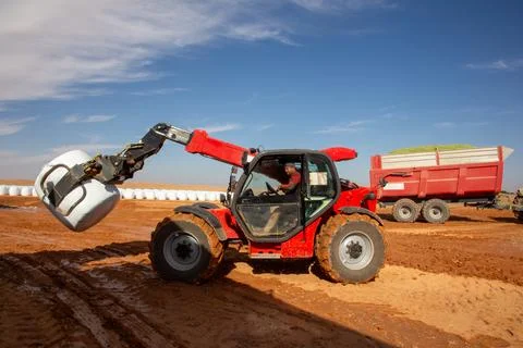 Telescopic handler lifting a wrapped bale of hay on a farm with a trailer Stock Photos