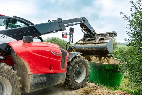 Telescopic handler loading olives into a container during harvest season Stock Photos