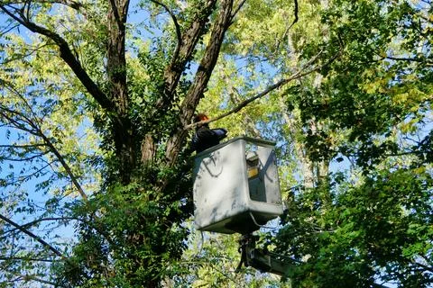Telescopic Handler. Stock Photos