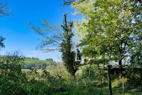 Telescopic Handler. Stock Photos