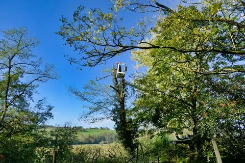 Telescopic Handler. Stock Photos