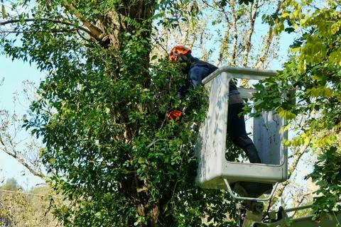 Telescopic Handler. Stock Photos