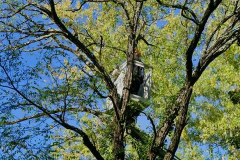 Telescopic Handler. 写真素材