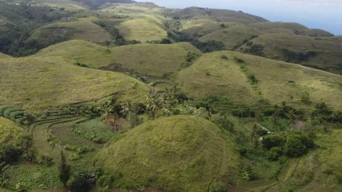 Teletubbies Hill backward move Stock Footage 329894636