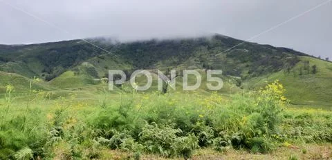 Teletubbies Hill in Mount Bromo Stock Photos