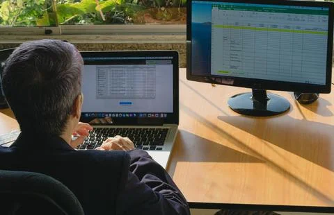 Teleworking, telecommuting, work at home Stock Photos