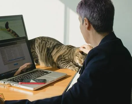 Teleworking, telecommuting, work at home Stock Photos