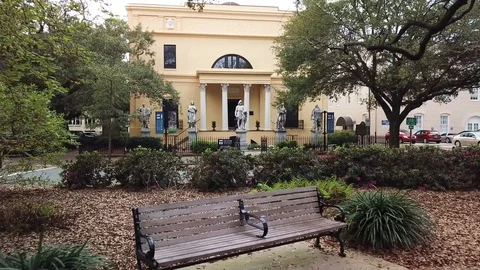 Telfair Acadamy 库存影片 86495300