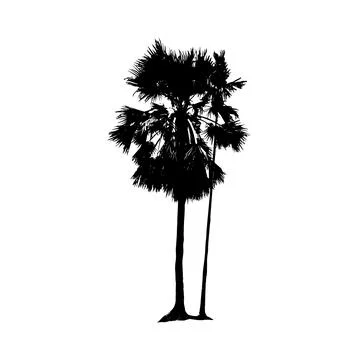 A tell palm tree silhouette vector illustration set, betel nut tree vector art, Stock Illustration