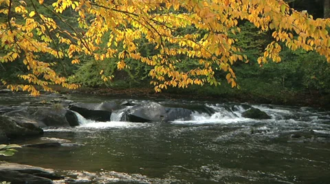 Tellico River 01 Stock-Footage 31780372
